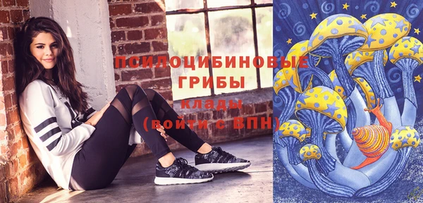 мдпв Нефтекумск