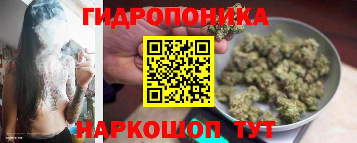 Шишки марихуана Ganja Советский